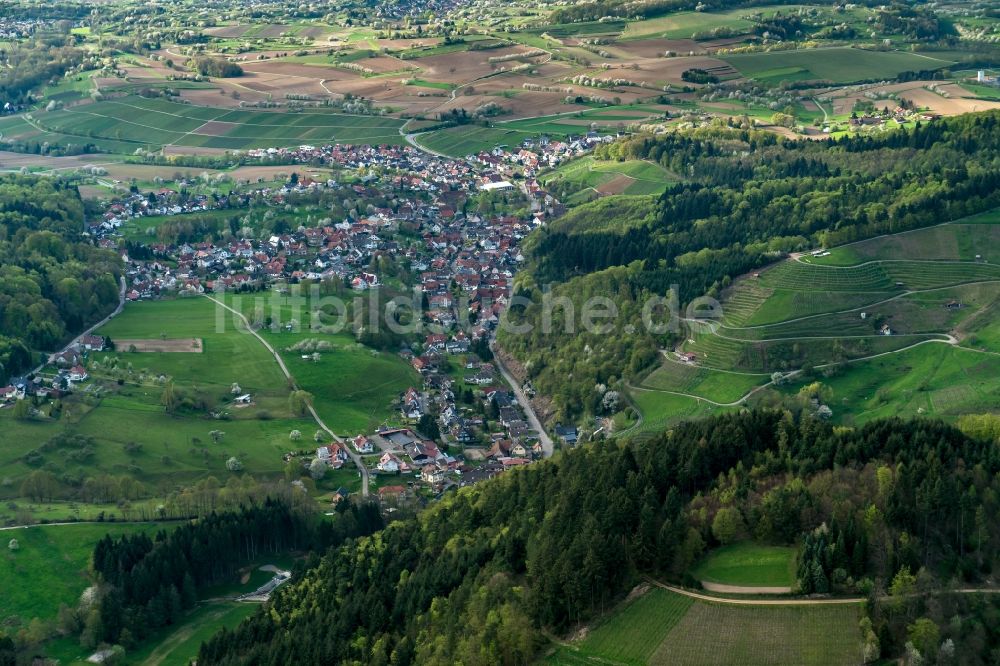 Luftbild Hohberg - Ortsteil Diersburg in Hohberg im Bundesland Baden-Württemberg, Deutschland