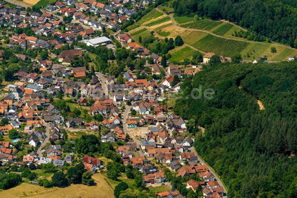 Luftbild Hohberg - Ortsteil Diersburg in Hohberg im Bundesland Baden-Württemberg, Deutschland