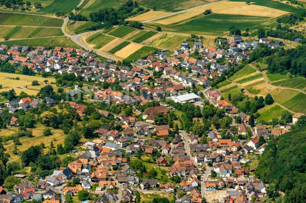 Luftaufnahme Hohberg - Ortsteil Diersburg in Hohberg im Bundesland Baden-Württemberg, Deutschland