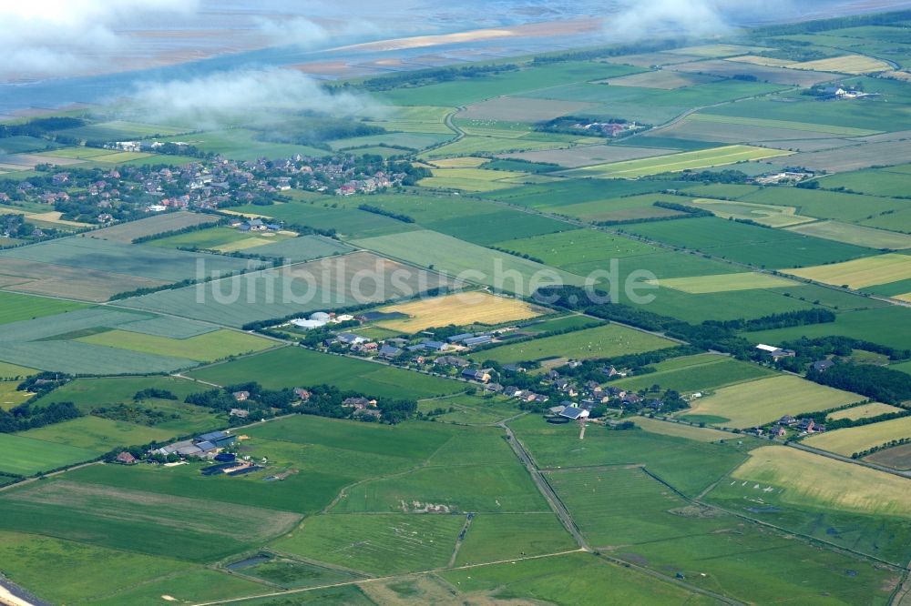 Utersum von oben - Ortsteil Hedehusum in Utersum im Bundesland Schleswig-Holstein