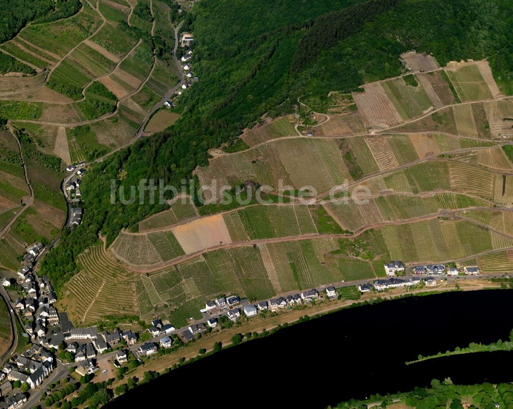 Zell (Mosel) Merl von oben - Ortsteil Merl am Ufer des Flußverlaufes der Mosel in Zell (Mosel) im Bundesland Rheinland-Pfalz