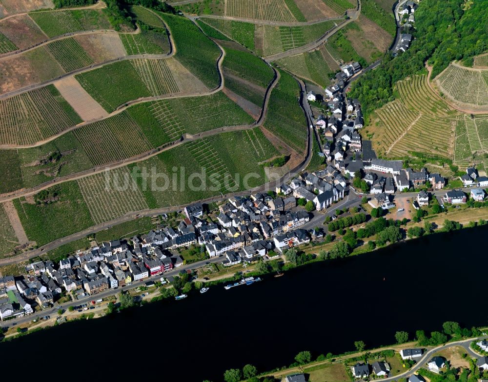 Luftaufnahme Zell (Mosel) Merl - Ortsteil Merl am Ufer des Flußverlaufes der Mosel in Zell (Mosel) im Bundesland Rheinland-Pfalz