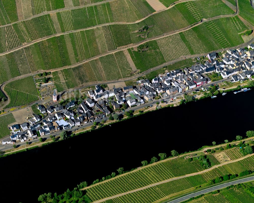 Zell (Mosel) Merl von oben - Ortsteil Merl am Ufer des Flußverlaufes der Mosel in Zell (Mosel) im Bundesland Rheinland-Pfalz