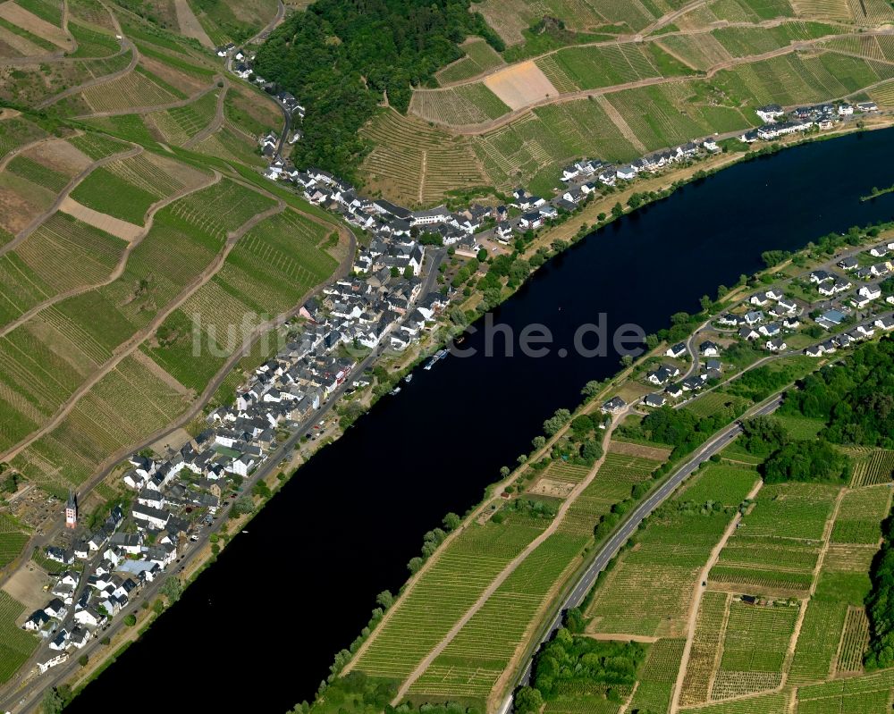 Luftbild Zell (Mosel) Merl - Ortsteil Merl am Ufer des Flußverlaufes der Mosel in Zell (Mosel) im Bundesland Rheinland-Pfalz