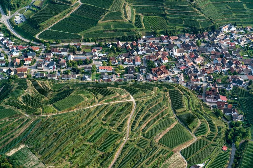 Vogtsburg im Kaiserstuhl von oben - Ortsteil Oberbergen in Vogtsburg im Kaiserstuhl im Bundesland Baden-Württemberg, Deutschland