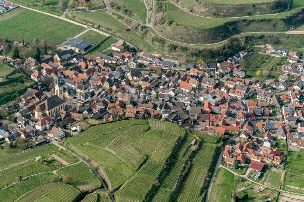 Vogtsburg im Kaiserstuhl aus der Vogelperspektive: Ortsteil Oberrottweil in Vogtsburg im Kaiserstuhl im Bundesland Baden-Württemberg, Deutschland