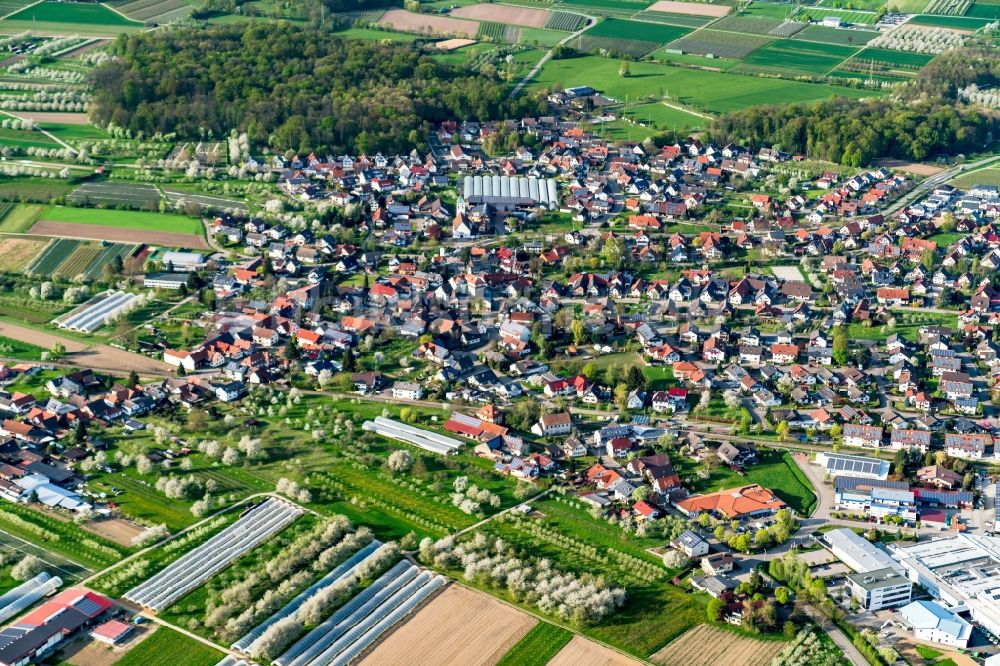 Luftaufnahme Oberkirch - Ortsteil Zusenhofen in Oberkirch im Bundesland Baden-Württemberg, Deutschland