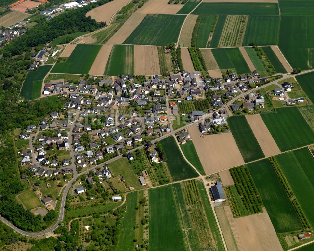 Dieblich von oben - Ortsteilansicht von Dieblich-Berg in der Ortsgemeinde Dieblich im Bundesland Rheinland-Pfalz