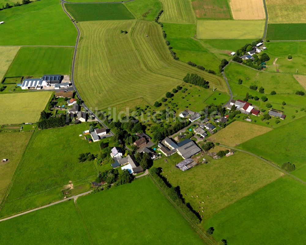 Buchholz aus der Vogelperspektive: Ortsteilansicht von Elles in der Ortsgemeinde Buchholz (Westerwald) im Bundesland Rheinland-Pfalz