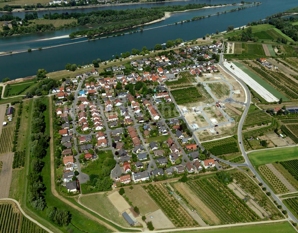 Heidesheim am Rhein Heidenfahrt von oben - Ortsteilansicht von Heidenfahrt in Heidesheim am Rhein im Bundesland Rheinland-Pfalz