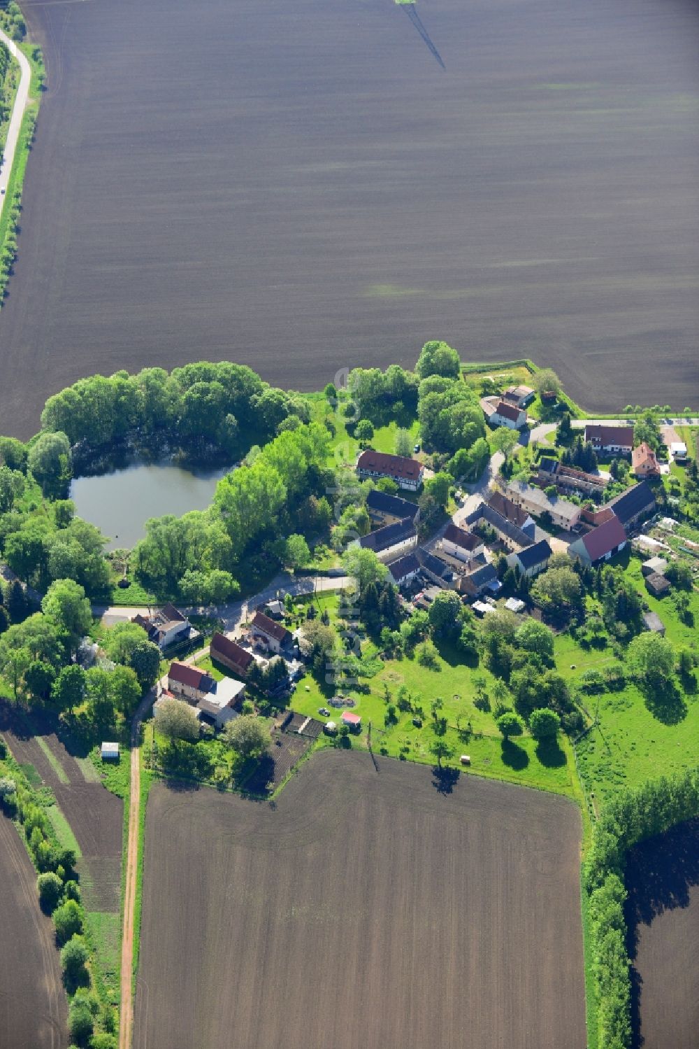 Luftbild Elsteraue - Ortsteilansicht von Krimmitzschen in der Ortschaft Rehmsdorf in der Gemeinde Elsteraue im Bundesland Sachsen-Anhalt