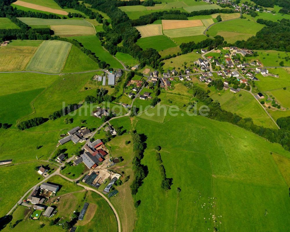 Luftaufnahme Buchholz - Ortsteilansicht von Mendt in der Ortsgemeinde Buchholz (Westerwald) im Bundesland Rheinland-Pfalz