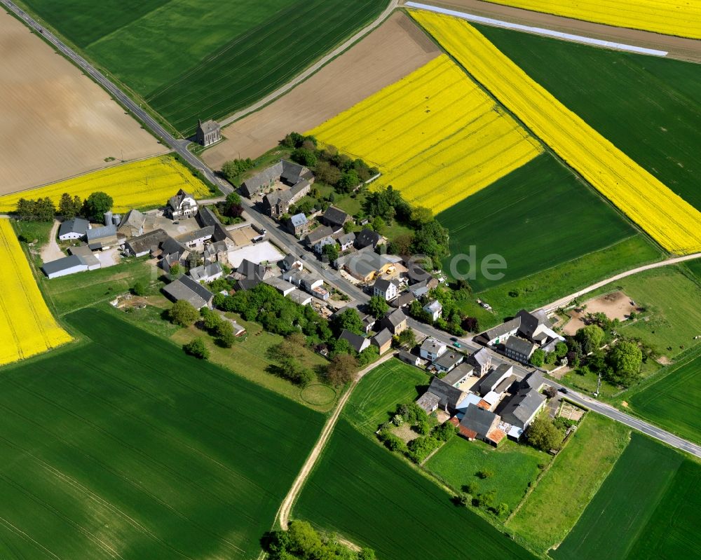 Kerben aus der Vogelperspektive: Ortsteilansicht von Minkelfeld in der Ortsgemeinde Kerben im Bundesland Rheinland-Pfalz