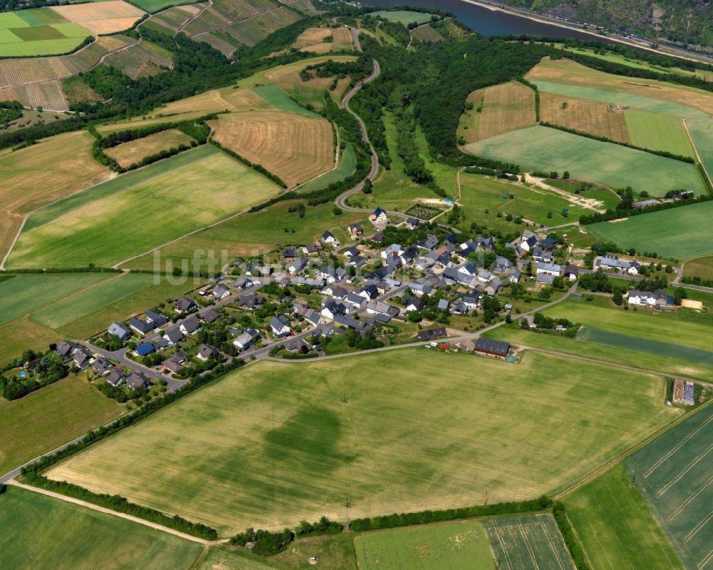 Oberwesel aus der Vogelperspektive: Ortsteilansicht des Stadtteils Langscheid in Oberwesel im Bundesland Rheinland-Pfalz