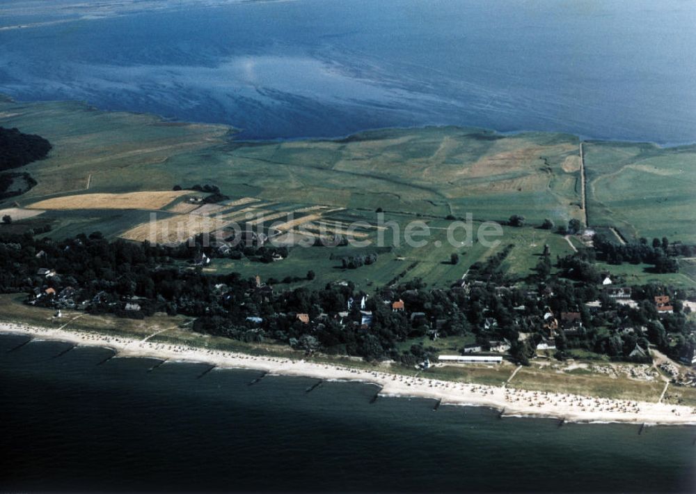 Luftaufnahme Ahrenshoop - Ostseebad Ahrenshoop