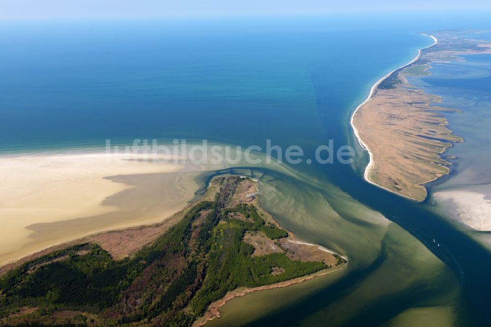 Luftbild Insel Hiddensee - Ostseeküste in Insel Hiddensee im Bundesland Mecklenburg-Vorpommern