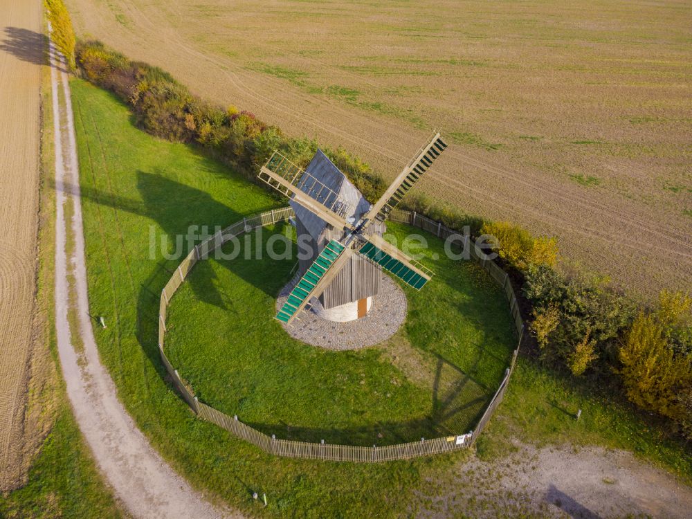 Luftaufnahme Grimma - Paltrockwindmühle Schkortitz in Grimma im Bundesland Sachsen, Deutschland