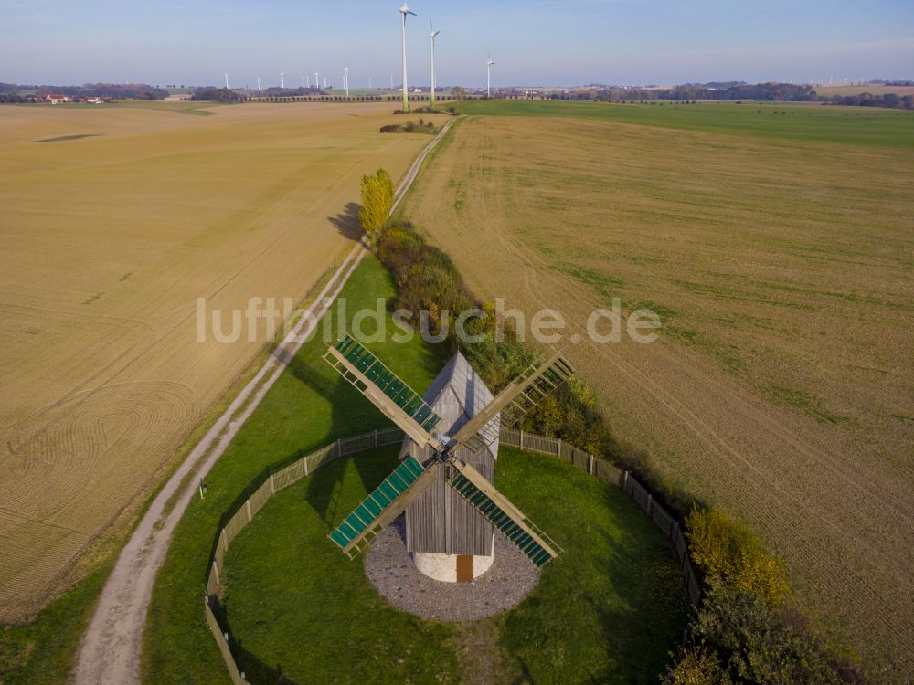 Grimma von oben - Paltrockwindmühle Schkortitz in Grimma im Bundesland Sachsen, Deutschland