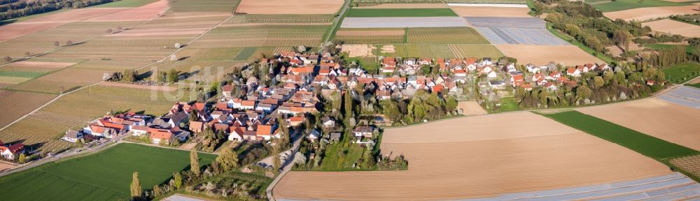 Kleinfischlingen von oben - Panorama der Dorf - Ansicht am Rande von Feldern in Kleinfischlingen im Bundesland Rheinland-Pfalz, Deutschland