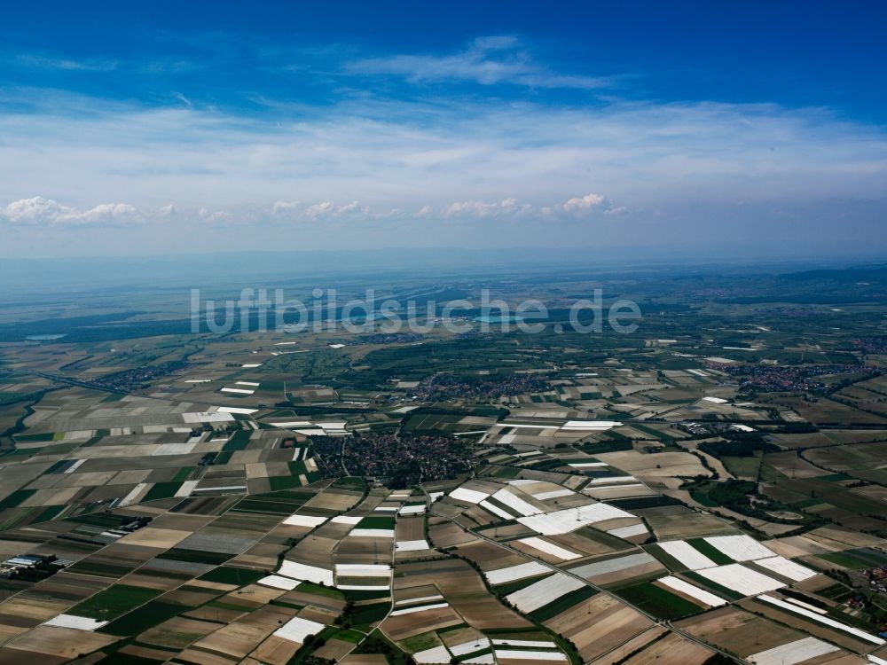 Freiburg im Breisgau von oben - Panorama und Landschaft im Norden von Freiburg im Breisgau im Bundesland Baden-Württemberg