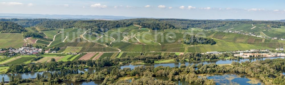 Luftaufnahme Wellesteen - Panorama der Uferbereiche am Flußverlauf der Mosel unter Weinbergen in Wellesteen in Distrikt Gréiwemaacher, Luxemburg