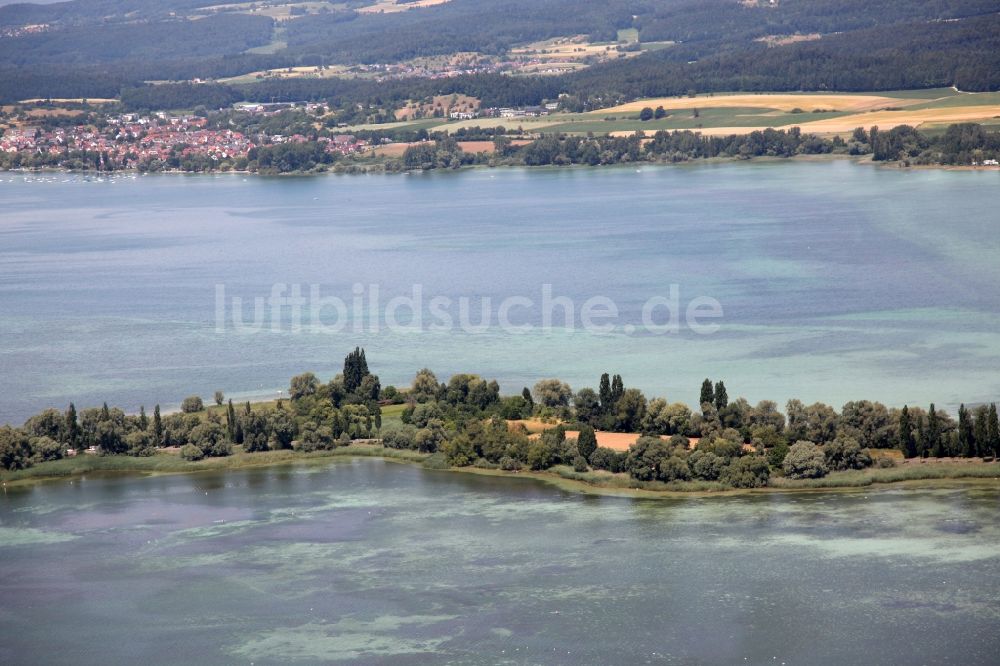 Reichenau von oben - Pappelallee auf dem Damm zur Insel Reichenau auf dem Bodensee in Baden-Württemberg