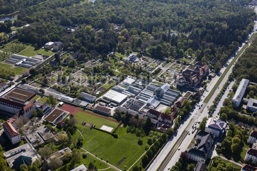 München aus der Vogelperspektive: Parkanlage Botanische Staatssammlung und Botanischer Garten entlang der Menzinger Straße im Ortsteil Neuhausen-Nymphenburg in München im Bundesland Bayern, Deutschland