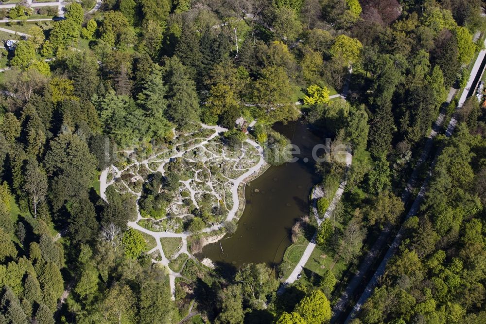 München aus der Vogelperspektive: Parkanlage Botanische Staatssammlung und Botanischer Garten entlang der Menzinger Straße im Ortsteil Neuhausen-Nymphenburg in München im Bundesland Bayern, Deutschland