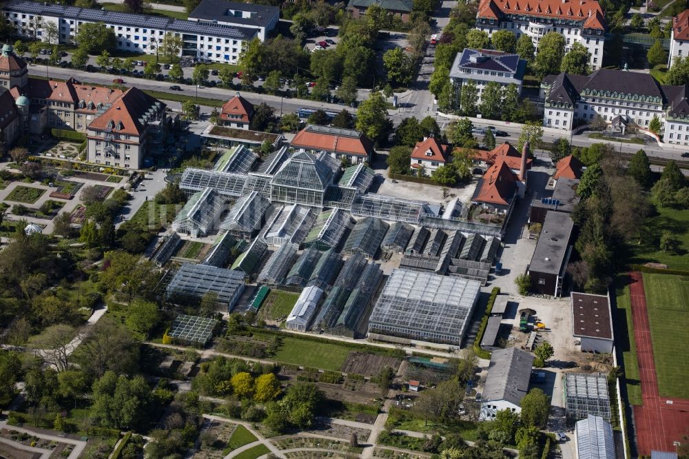 Luftbild München - Parkanlage Botanische Staatssammlung und Botanischer Garten entlang der Menzinger Straße im Ortsteil Neuhausen-Nymphenburg in München im Bundesland Bayern, Deutschland