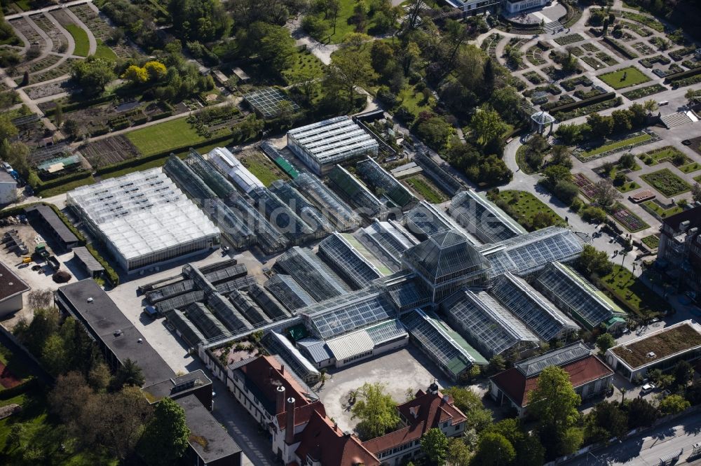 Luftaufnahme München - Parkanlage Botanische Staatssammlung und Botanischer Garten entlang der Menzinger Straße im Ortsteil Neuhausen-Nymphenburg in München im Bundesland Bayern, Deutschland