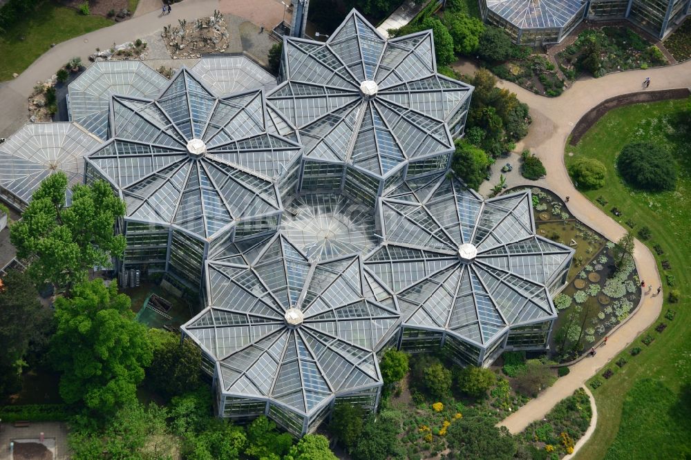 Luftbild Frankfurt Am Main Parkanlage Botanischer Garten In