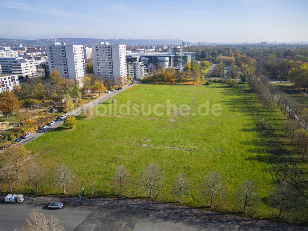 Luftbild Dresden - Parkanlage Cockerwiese in Dresden im Bundesland Sachsen, Deutschland