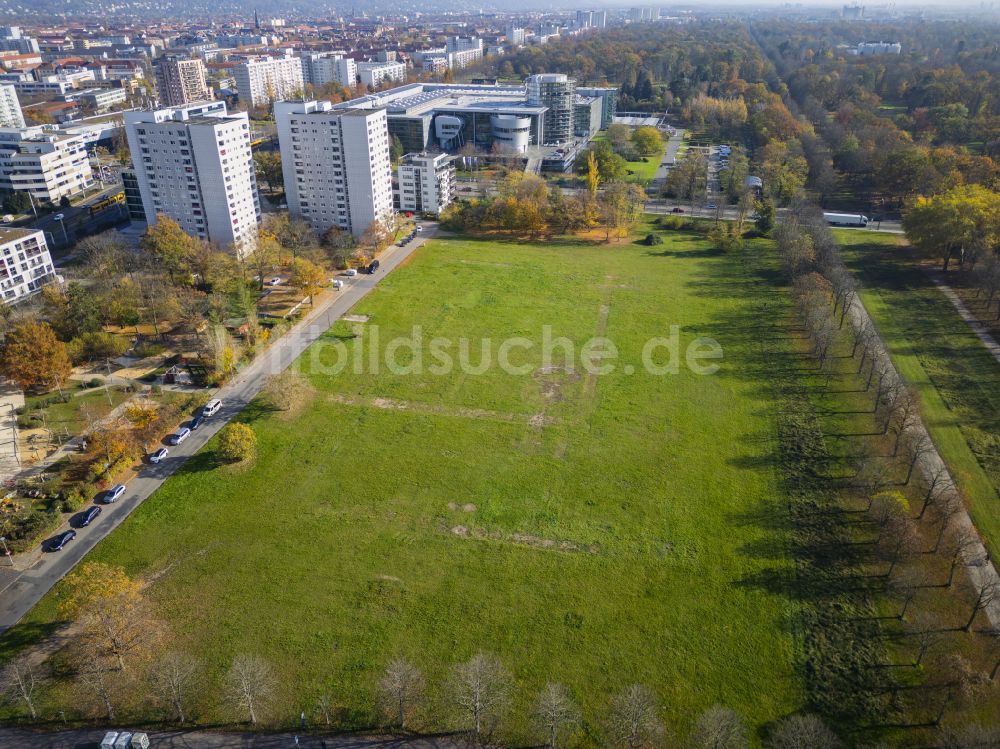 Luftaufnahme Dresden - Parkanlage Cockerwiese in Dresden im Bundesland Sachsen, Deutschland