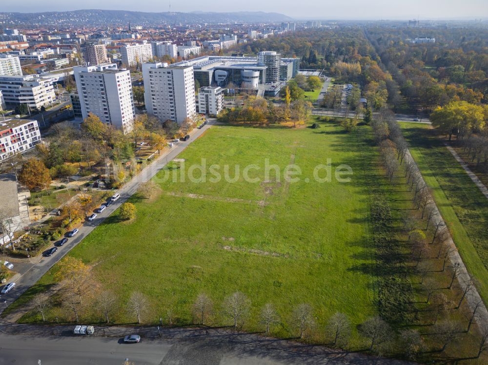 Dresden von oben - Parkanlage Cockerwiese in Dresden im Bundesland Sachsen, Deutschland