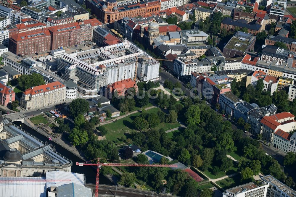 Berlin aus der Vogelperspektive: Parkanlage Monbijoupark im Ortsteil Mitte in Berlin, Deutschland