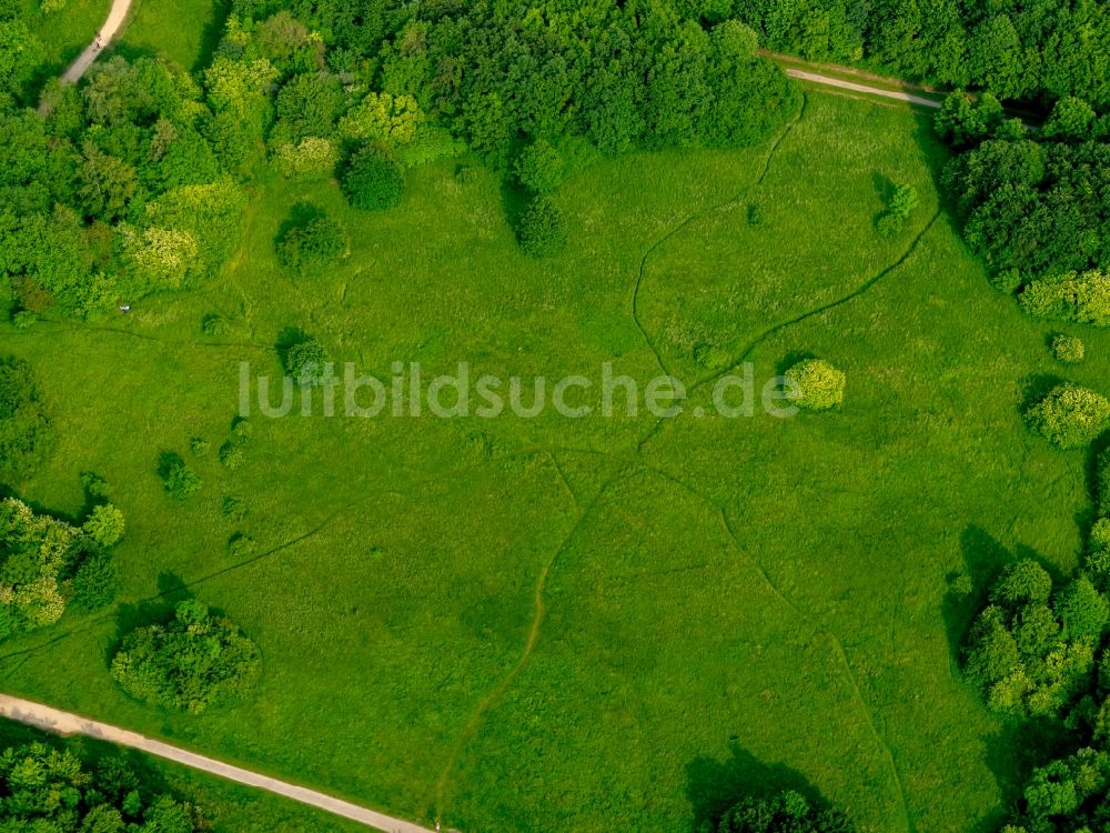 Gelsenkirchen von oben - Parkanlage Revierpark Nienhausen in Gelsenkirchen im Bundesland Nordrhein-Westfalen