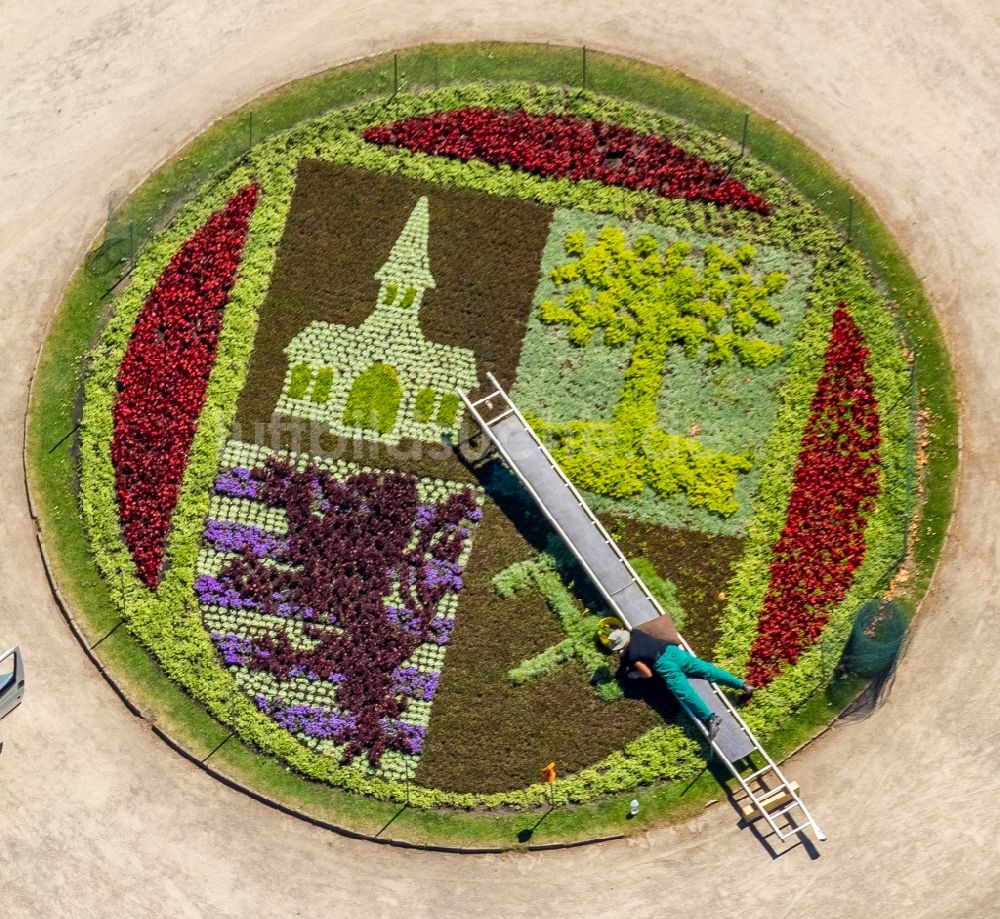 Luftaufnahme Gelsenkirchen - Parkanlage des Schlossgarten am Schloss Berge im Ortsteil Buer in Gelsenkirchen im Bundesland Nordrhein-Westfalen, Deutschland