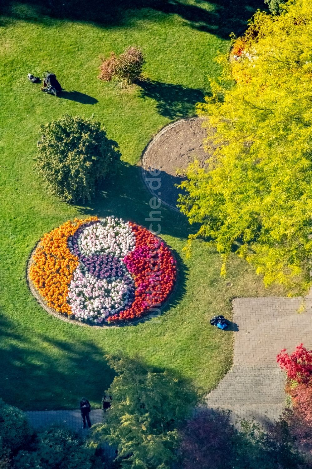 Luftbild Siegen - Parkanlage Schloßpark in Siegen im Bundesland Nordrhein-Westfalen