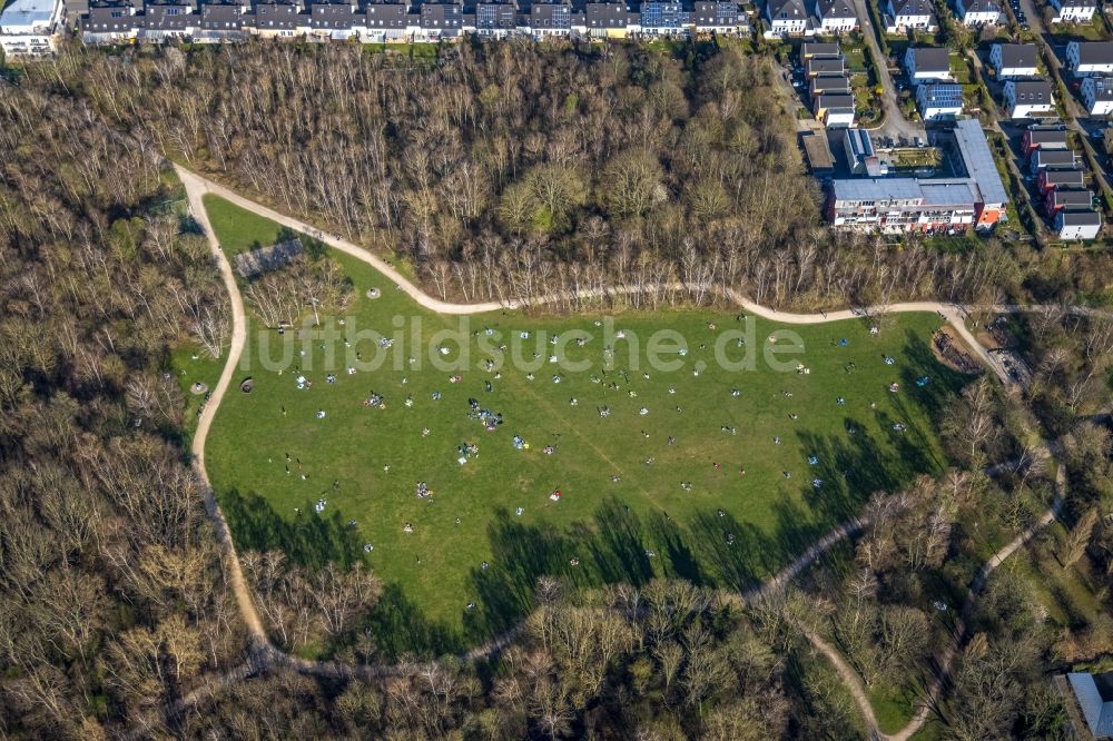 Dortmund aus der Vogelperspektive: Parkanlage Tremoniapark in Dortmund im Bundesland Nordrhein-Westfalen, Deutschland