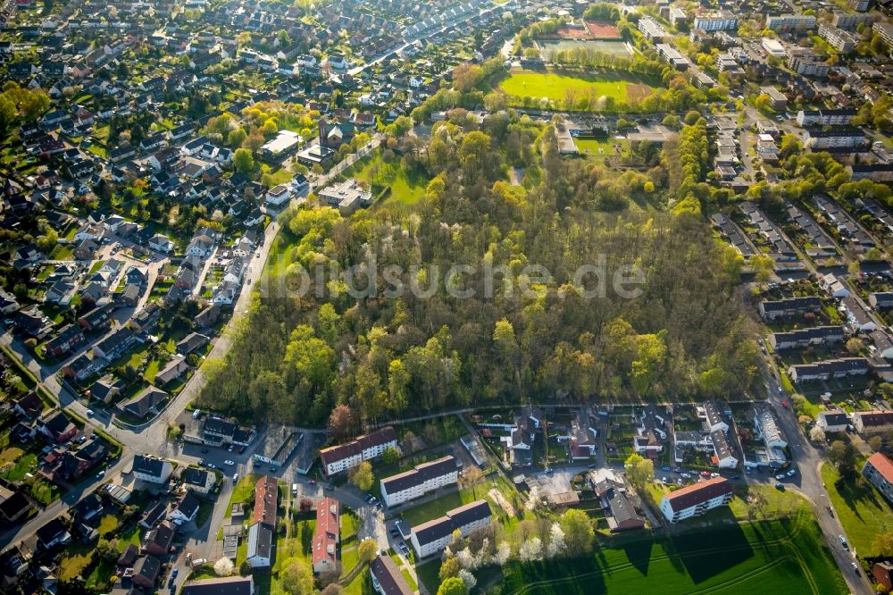 Hamm aus der Vogelperspektive: Parkanlage und Waldstück am Sulkshege im Stadtteil Heessen in Hamm im Bundesland Nordrhein-Westfalen