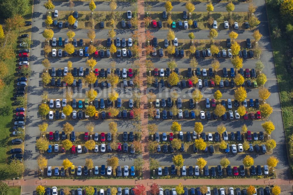 Hamm aus der Vogelperspektive: Parkplatz mit herbstlich gefärbten Bäumen in Hamm im Ruhrgebiet in Nordrhein-Westfalen