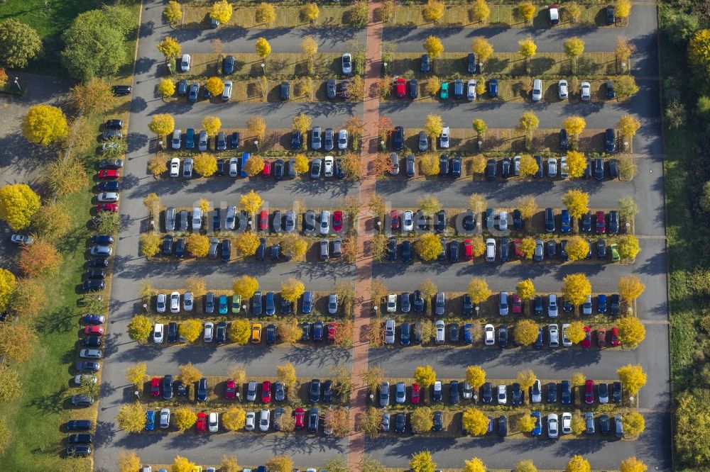 Luftbild Hamm - Parkplatz mit herbstlich gefärbten Bäumen in Hamm im Ruhrgebiet in Nordrhein-Westfalen