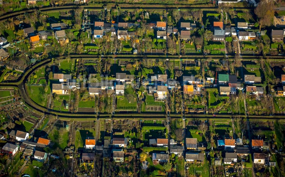 Luftaufnahme Bochum - Parzellen einer Kleingartenanlage in Bochum im Bundesland Nordrhein-Westfalen