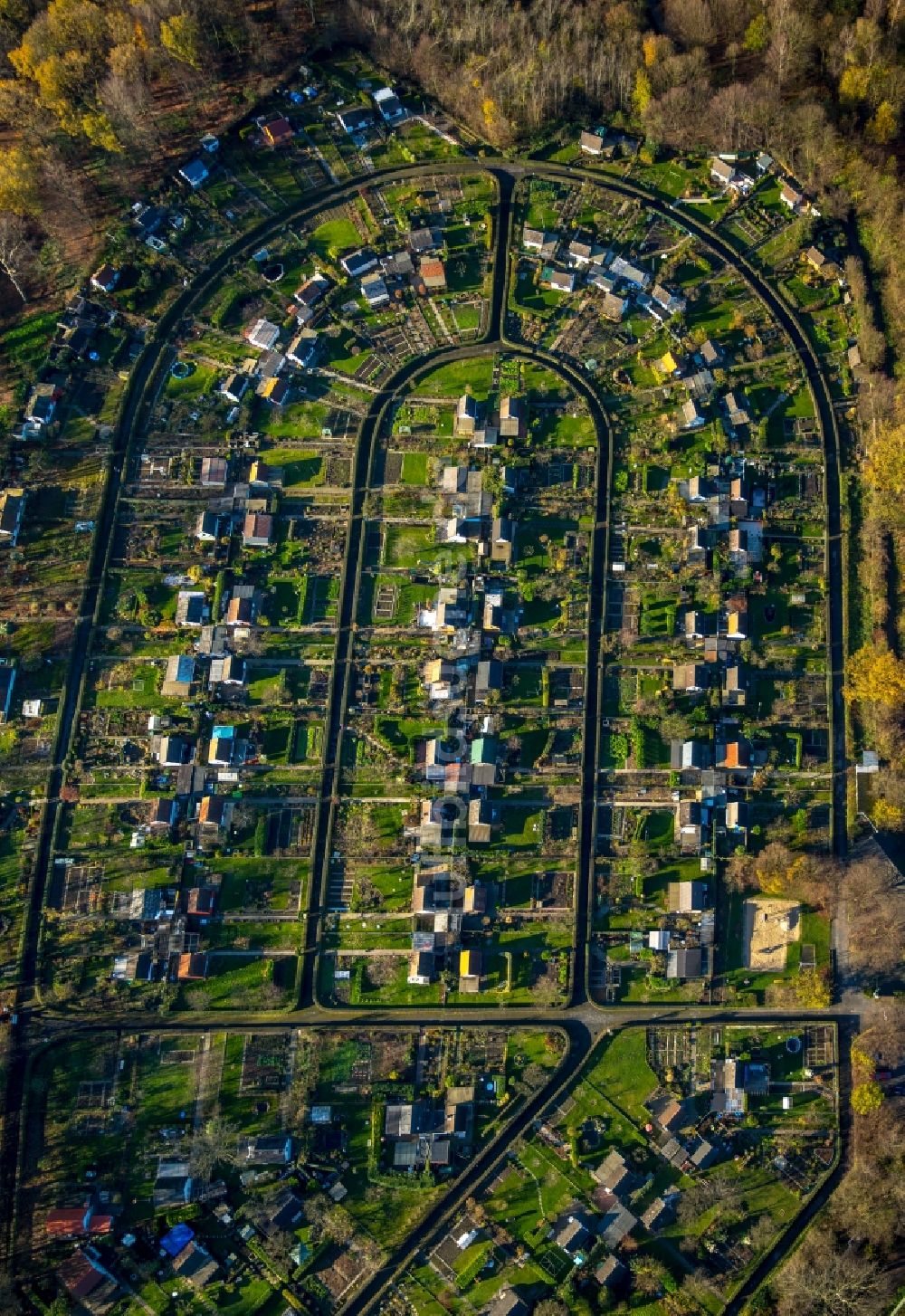 Bochum aus der Vogelperspektive: Parzellen einer Kleingartenanlage in Bochum im Bundesland Nordrhein-Westfalen