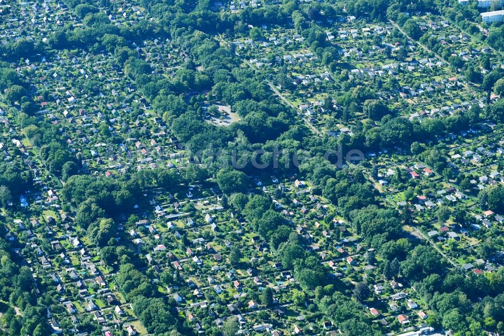 Berlin von oben - Parzellen einer Kleingartenanlage Breitunger Weg in Britz im Ortsteil Neukölln in Berlin, Deutschland