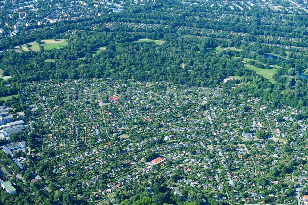 Berlin von oben - Parzellen einer Kleingartenanlage am Buckower Damm im Ortsteil Neukölln in Berlin, Deutschland