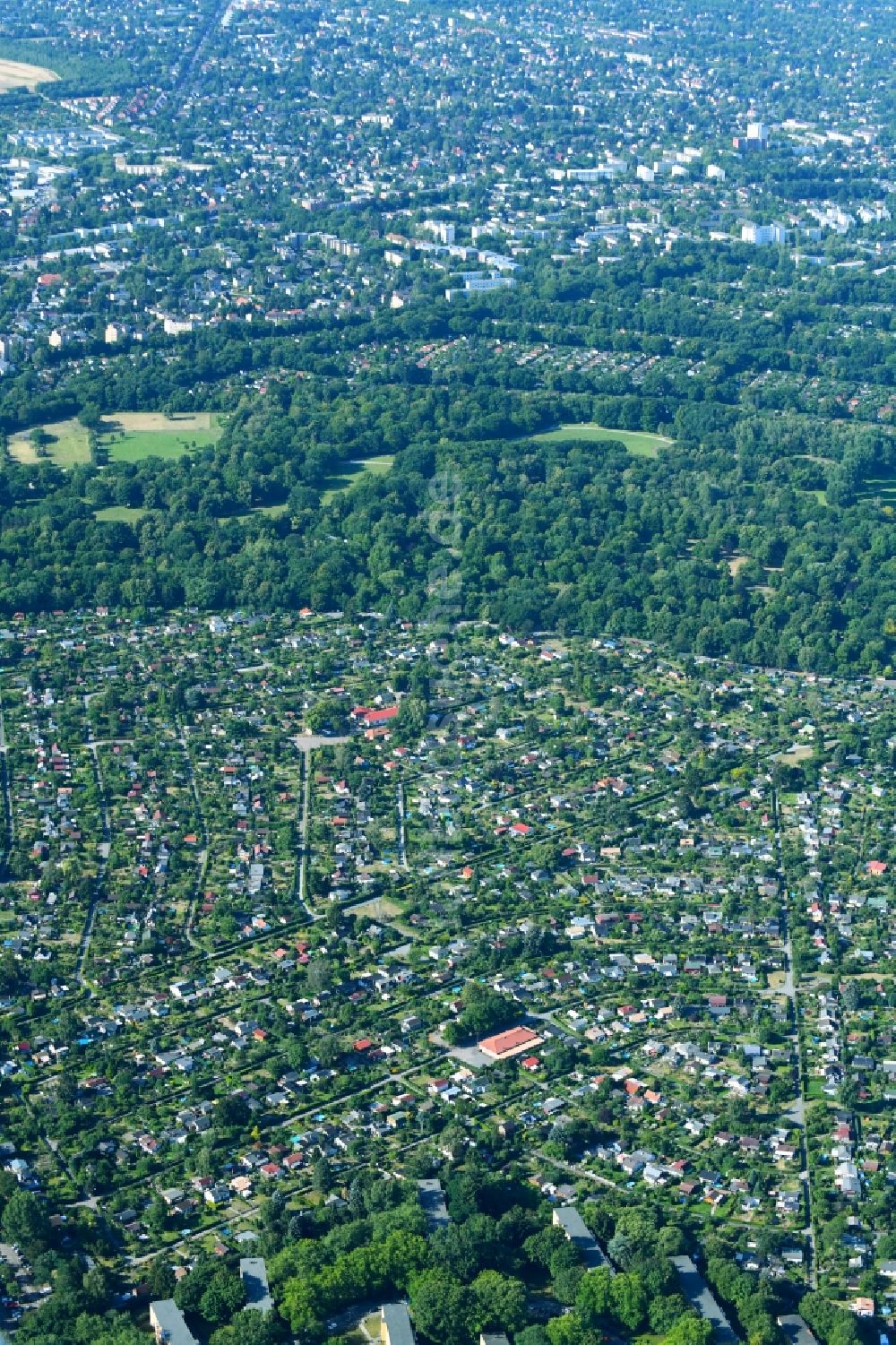 Luftbild Berlin - Parzellen einer Kleingartenanlage am Buckower Damm im Ortsteil Neukölln in Berlin, Deutschland