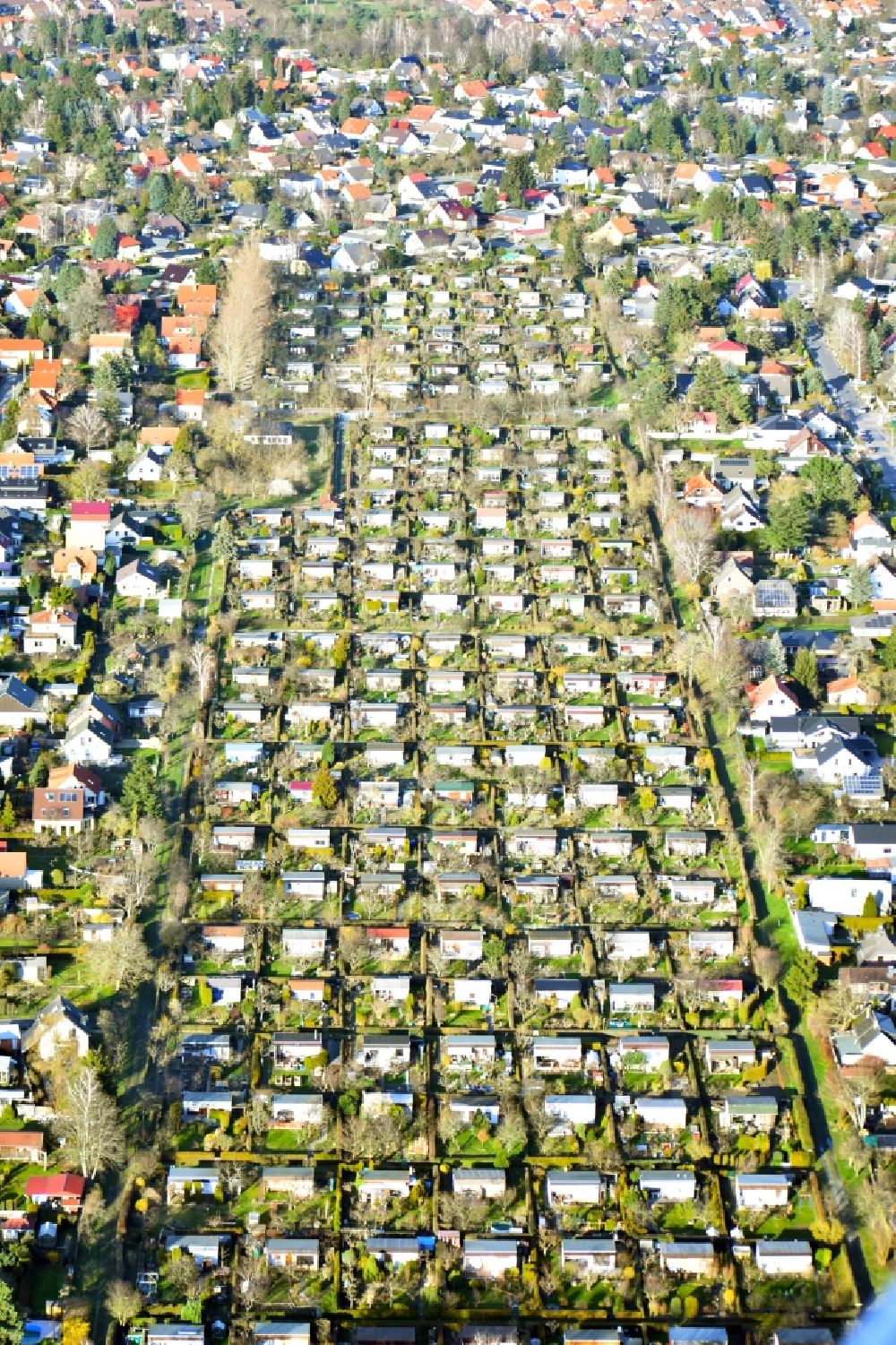 Luftbild Berlin - Parzellen einer Kleingartenanlage an der Dahlwitzer Strasse in Berlin