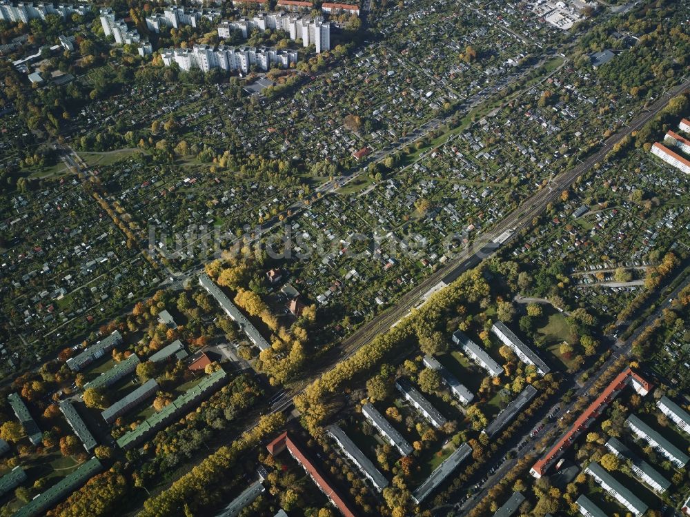 Luftbild Berlin - Parzellen einer Kleingartenanlage Dauerkleingartenanlage Freiheit in Berlin