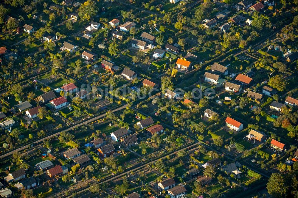 Duisburg von oben - Parzellen einer Kleingartenanlage in Duisburg im Bundesland Nordrhein-Westfalen